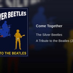 Come Together- silver beetles