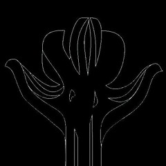 F L O W   E R (prod. YAHNEK DARKO) *trial