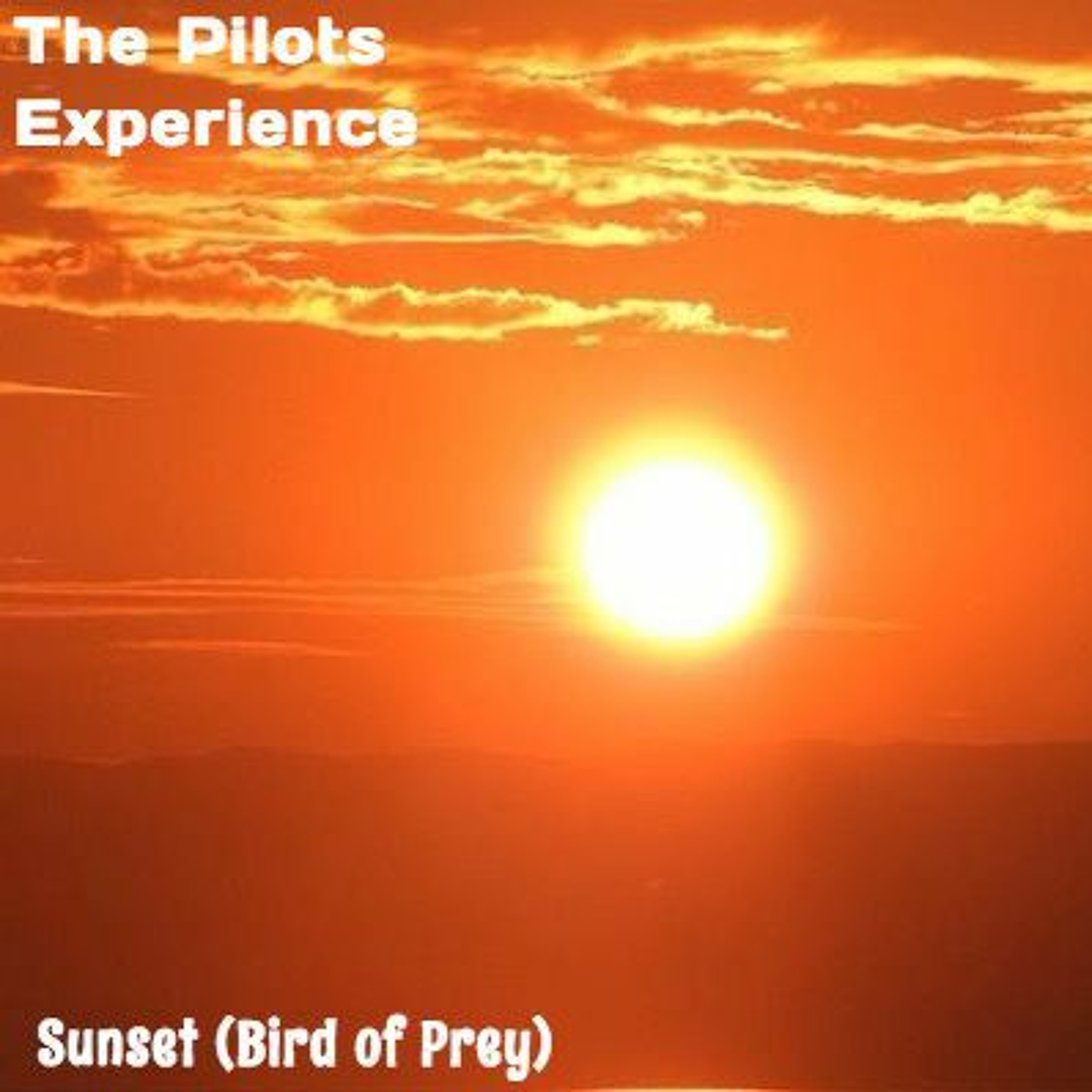The Pilots Experience