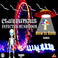 🍄Infected Mushroom Now Is Gold Remix 🍄