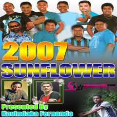 SUNFLOWER 2007