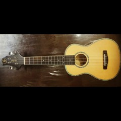 Grow Old With You [2 Ukulele Cover]