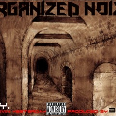 FLY - Organized Noize