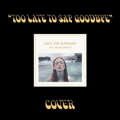 Too Late To Say Goodbye - Cage The Elephant (Live Cover)