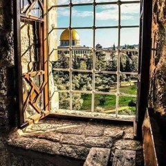 يرغول فلسطيني