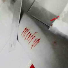 莊心妍 - 走著走著就散了(DJ_狼總 2016) .mp3