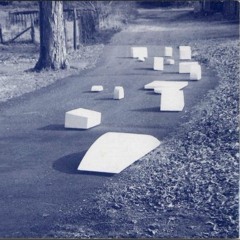 alt tuning - gamera tortoise