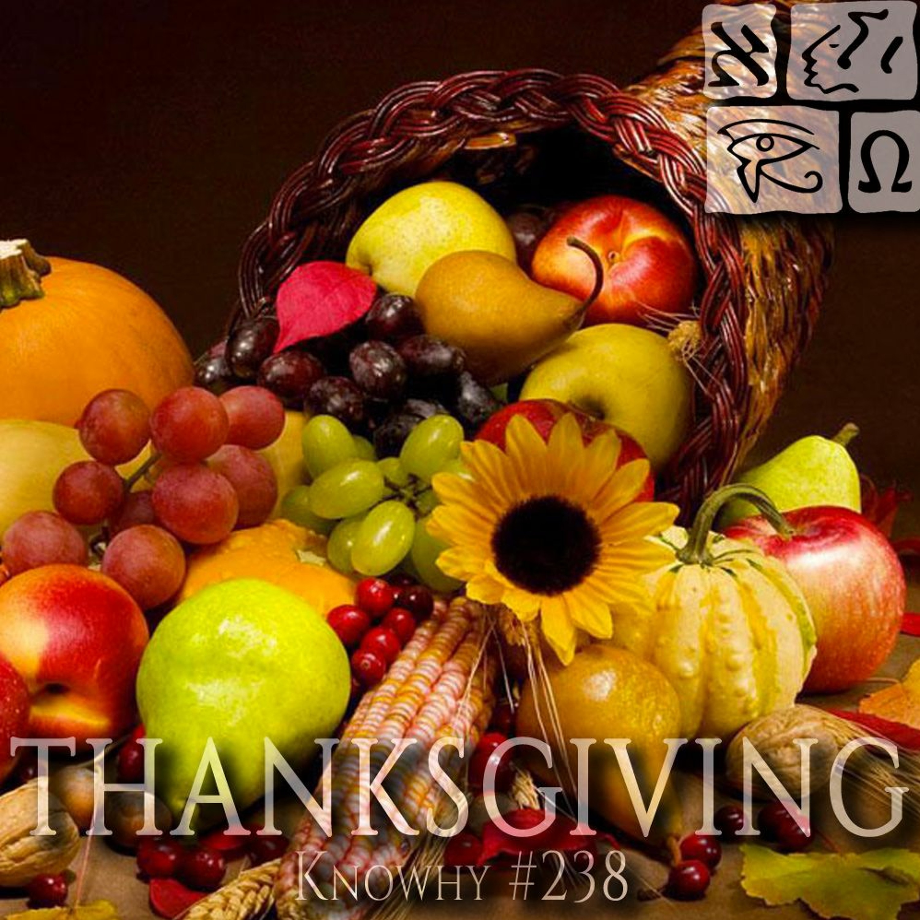 Why Should We Take The Time To Give Thanks To God? #238