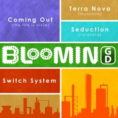 4.BLOOMING MIND - Switch System