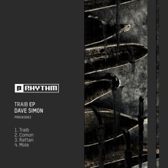 Preview - Planet Rhythm - Dave Simon - Traib EP