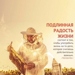 Цитата о жизни