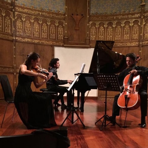 Bosphorus Trio plays Mendelssohn Trio no.1 - Andante con moto tranquillo