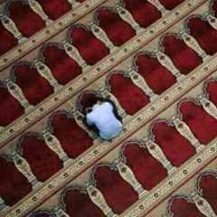 قُلْ هَلْ يَسْتَوِي الْأَعْمَى وَالْبَصِيرُ | عبد الله الخلف