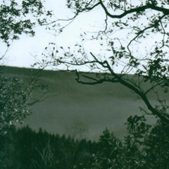 der Wind - Prod.byMilesTails