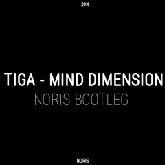 Tiga - Mind Dimension (N O R I S Bootleg)