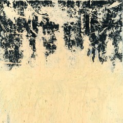 Noise Field
