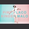 Pimp Flaco And Kinder Malo Chemtrails A Colors Show Mp3