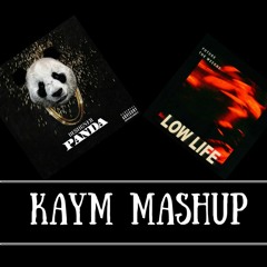 Panda Vs Low Life (KayM Mashup)
