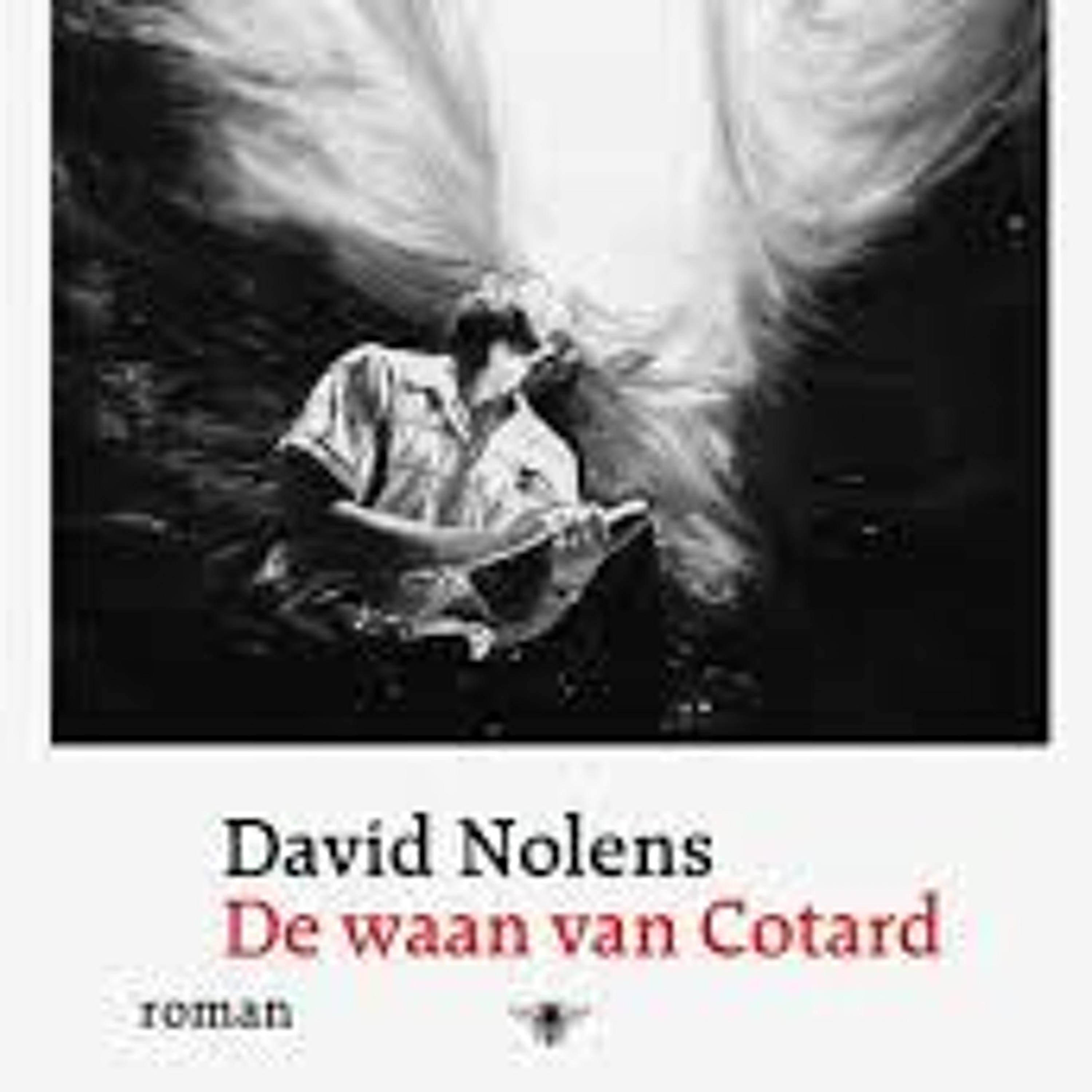 Boekenpodcast Het verhaal