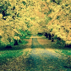 DJ Windows XP - What's The Point Of Saying Sorry.