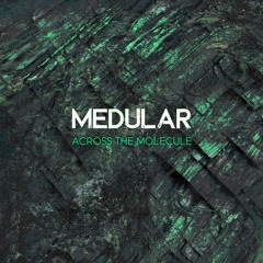 Medular - Grey Matter