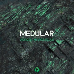 Medular - Across The Molecule [TGNR030]