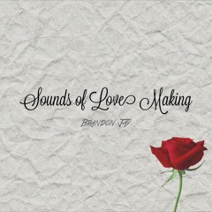 Sounds of Love Making