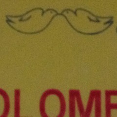 Dum Dum Boys (Iggy Pop Song)