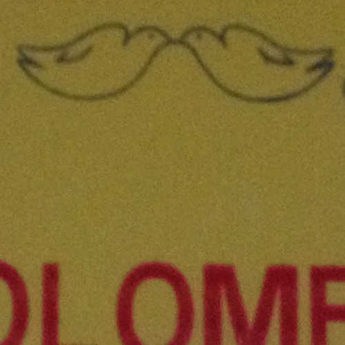 Dum Dum Boys (Iggy Pop Song)