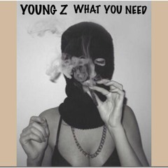 Yz x What You Need