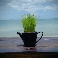 autumn time / light-tech