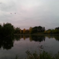 Unity - ''For My B Day''