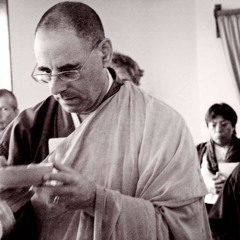 You Can't Get Anywhere With Meditation! w/ Norman Fischer