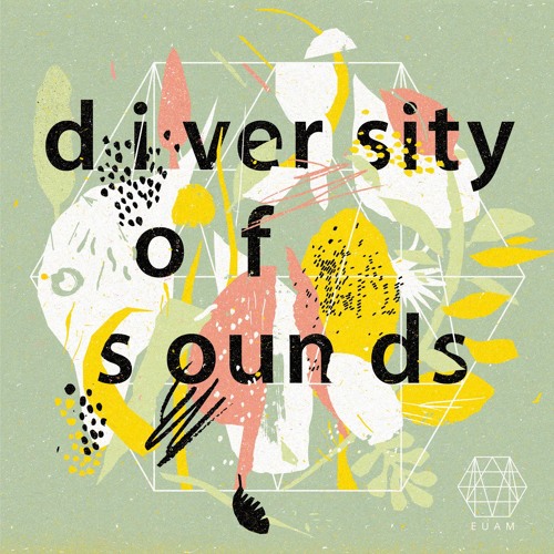 Martin Kleinert - Little Cat (Diversity Of Sounds)