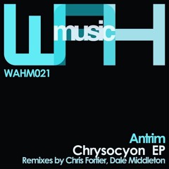 Antrim - Thoughts Of Flight (Dale Middleton Remix) Preview