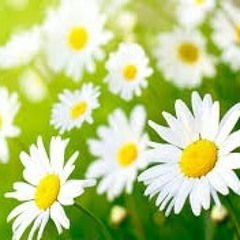 مواقف إيمانية ♡      1_المقدمة