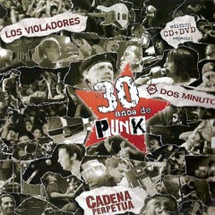 Los Violadores - En vivo 30 años de Punk Argentino
