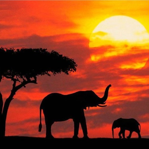 Savana