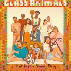Glass Animals- Youth