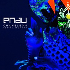 PNAU - Chameleon (L D R U Remix)