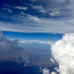 E-Sharp- Blinker Light