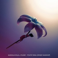 Manilla Killa x Flume - Youth Wall