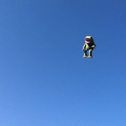 goodbye little friend