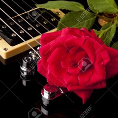 Je dors sur des roses - Mozart l'opéra rock - Cover