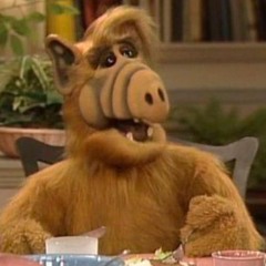 CURIOSIDADES DE ALF | MÚSICA DENTRO DE SERIE