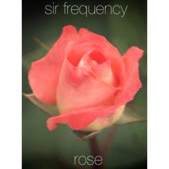 sir frequency - rose