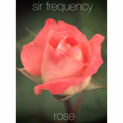 sir frequency - rose