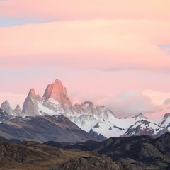 An Olive Grove Facing The Sea