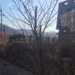 WONDER PLACE Produced by BLUESY MANSION