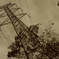 listen  to this Rhymertronical language #SPEAKING #RAPTONGUES